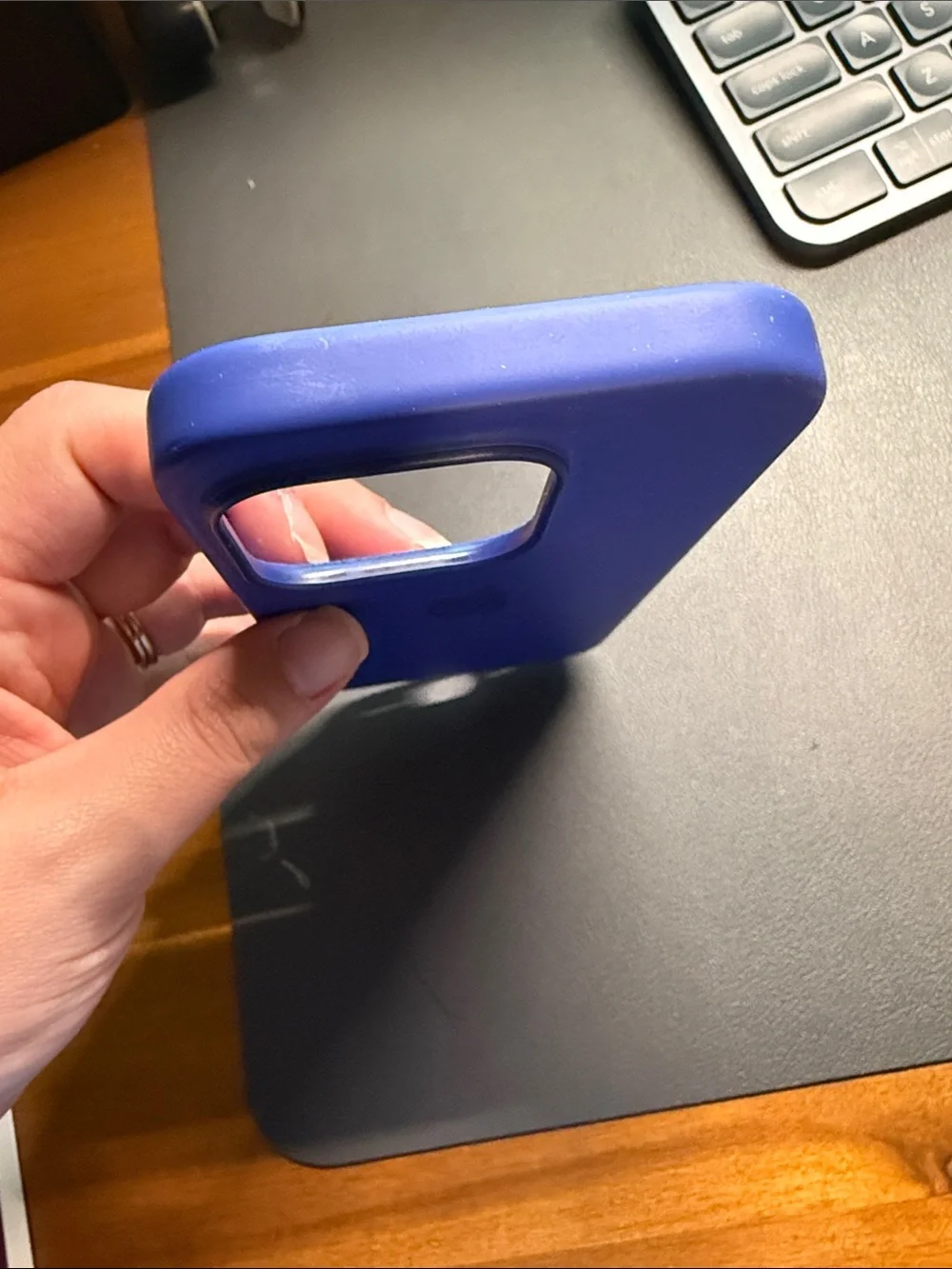 iPhone 16 Pro Apple Case